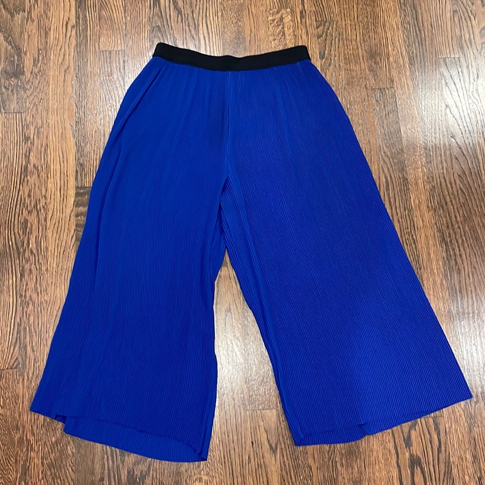 Zara Cropped Wide Leg Pleated Pants